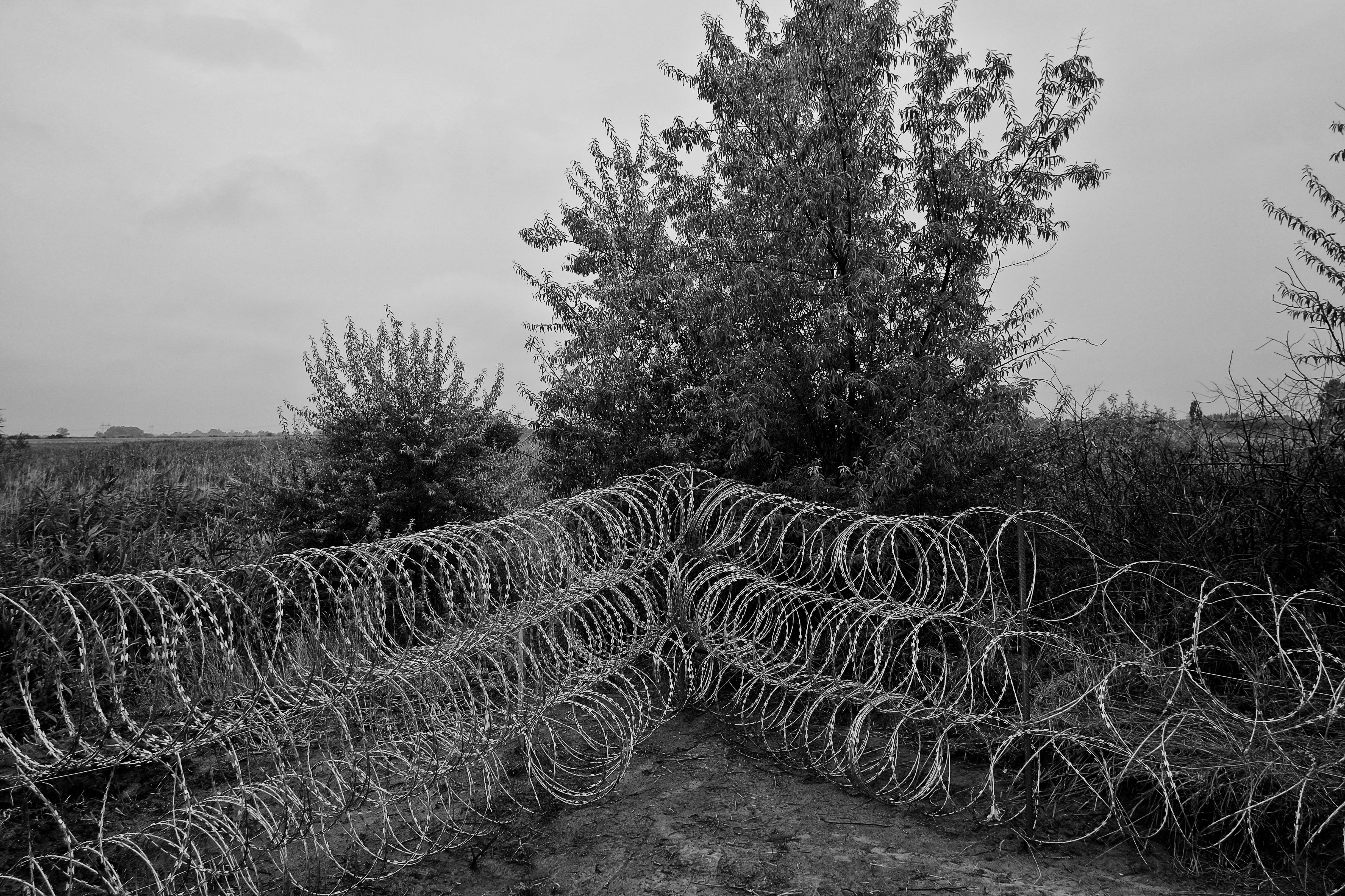Hungarian Border Fence